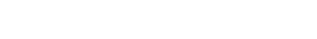 HOSWEB GROUP